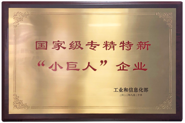 National level specialized and innovative "little giant" enterprise