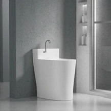 Plumbing & Sanitary Systems