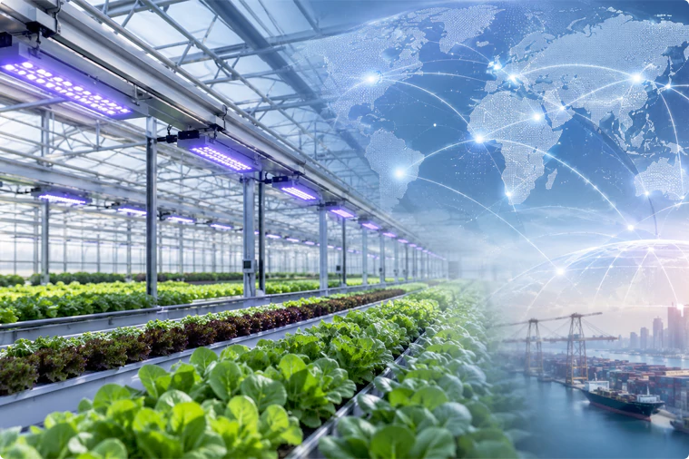 productcate-759-506 Business Value of UV LED in Greenhouse Cultivation